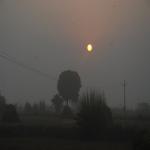 Vraj-Yatra-2014- (1551)